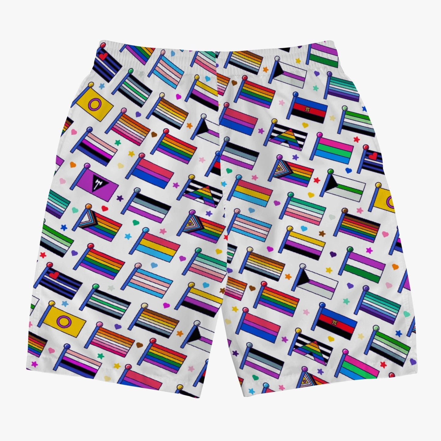 LGBTQIA+ Queer Pride Flag Boardshorts