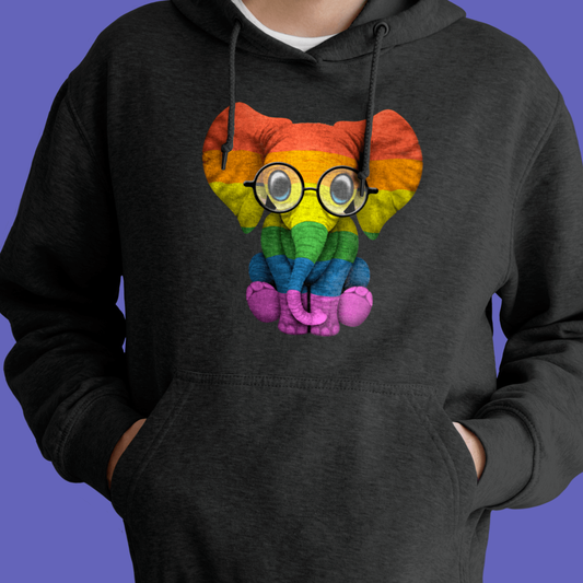 Hoodie - Ele-fab Premium LGBTQIA+ Pullover Hoodie