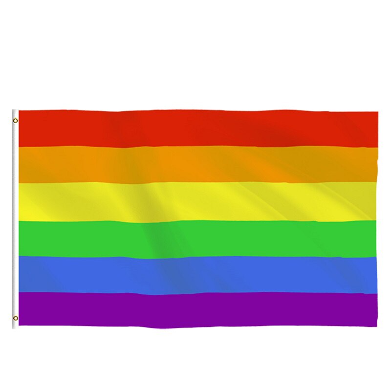 Flag - LGBTQIA+ Queer Flags - Cheap & Cheerful!